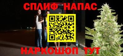 шишки Волжск
