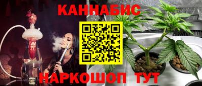 крисы Волжский