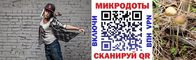 mega маркетплейс  Нижневартовск  Галлюциногенные грибы Cubensis 