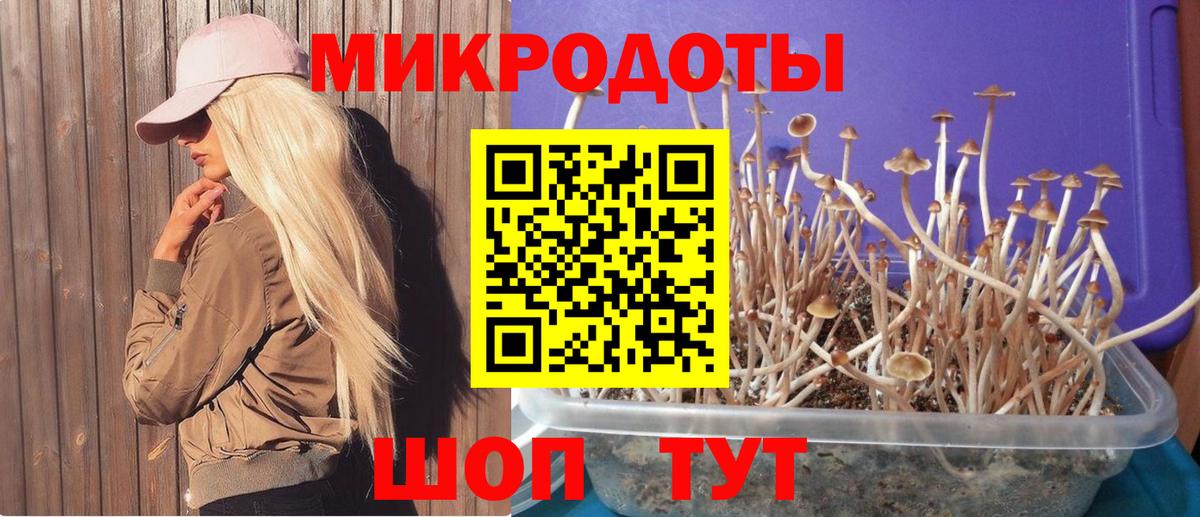 Галлюциногенные грибы Psilocybine cubensis Нижневартовск