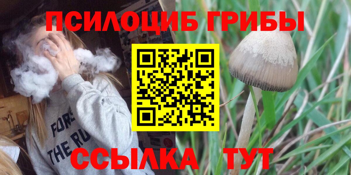 наркошоп  Галлюциногенные грибы MAGIC MUSHROOMS  Галлюциногенные грибы прущие грибы  Вход с VPN  Нижневартовск 